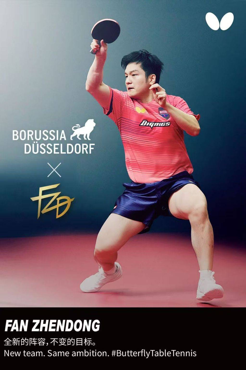 樊振东加盟德甲杜塞尔多夫俱乐部